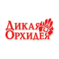 Дикая Орхидея